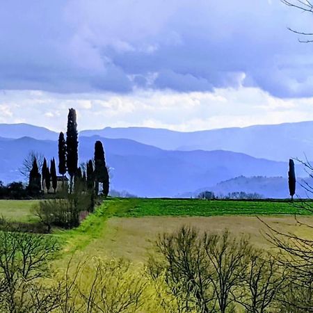 Tuscan Hills Near Florence - Stone House 维基奥 外观 照片