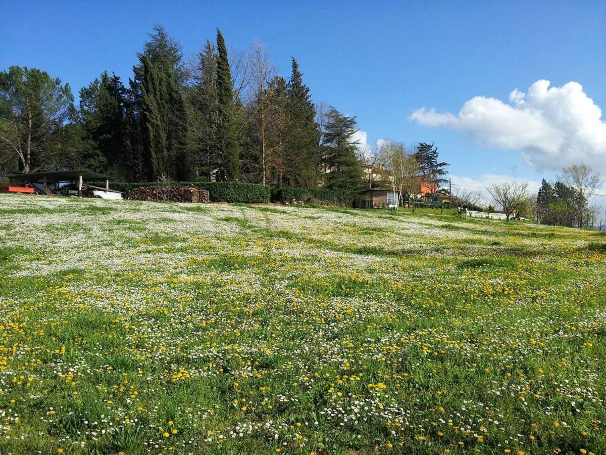 Tuscan Hills Near Florence - Stone House 维基奥 外观 照片