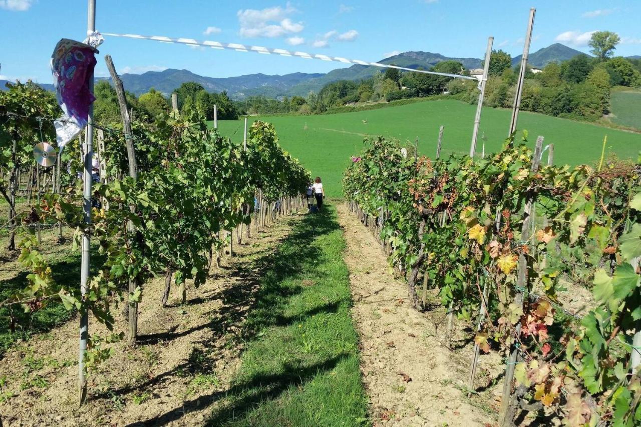 Tuscan Hills Near Florence - Stone House 维基奥 外观 照片
