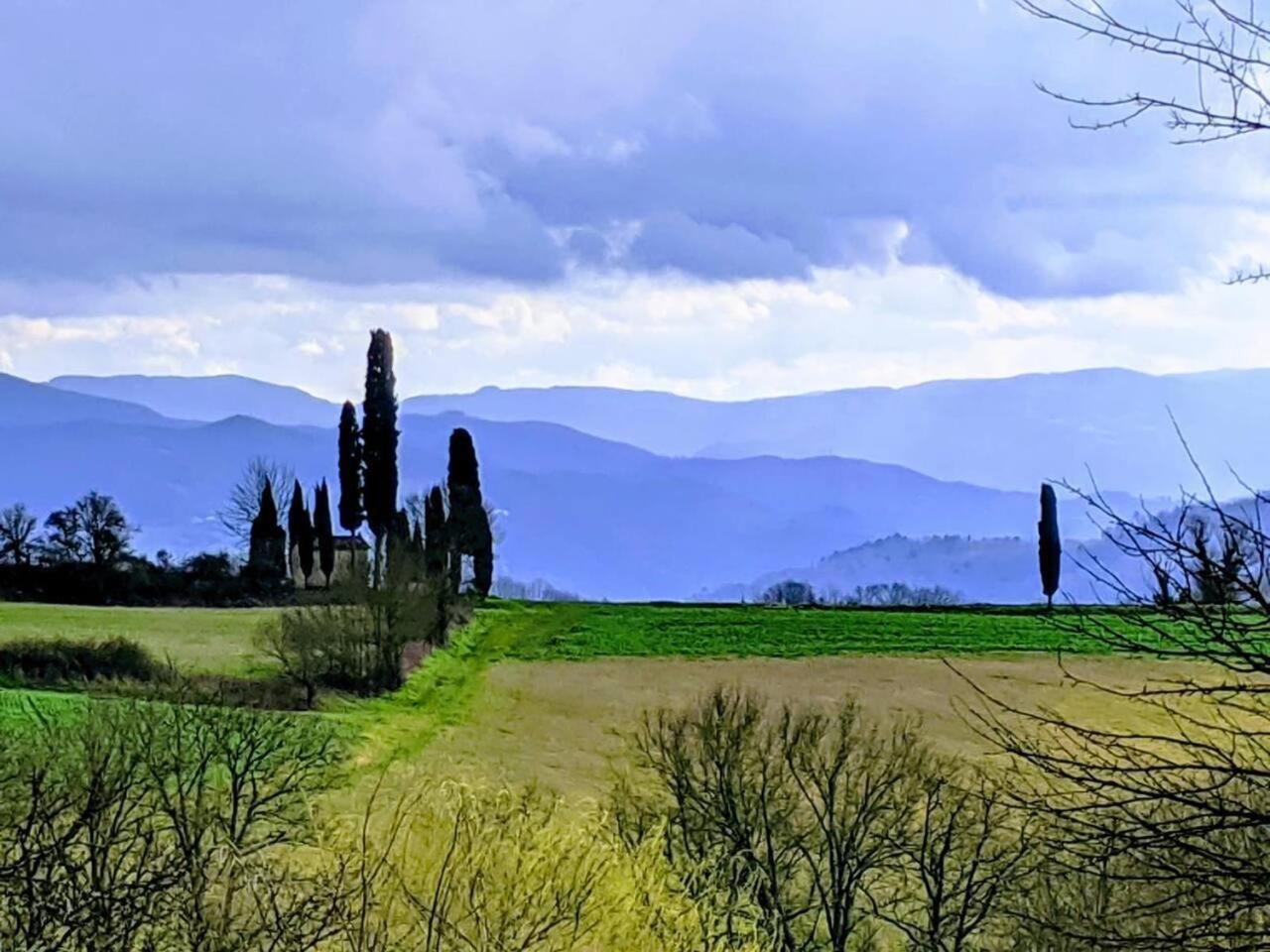 Tuscan Hills Near Florence - Stone House 维基奥 外观 照片